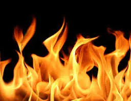 Flame Retardant