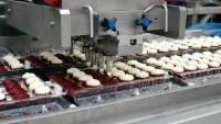 Food Processing | food grade silicone